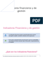 Indicadores Financieros y de Gestión