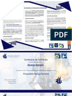 Programa Proyectista Piping Industrial 2021