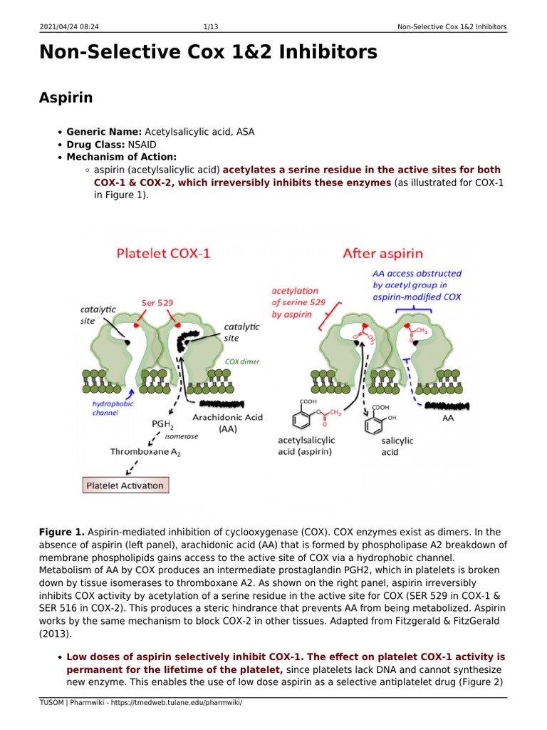 NonSelective Cox 1 2 Inhibitors PDF Nonsteroidal Anti Inflammatory