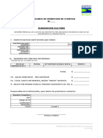 Formato Rendiciones de Cuentas Subvencion Cultura