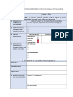 FORMATO INTERVENCIÓN PSICOEDUCATIVA EN ESCUELAS ESPECIALIZADAS