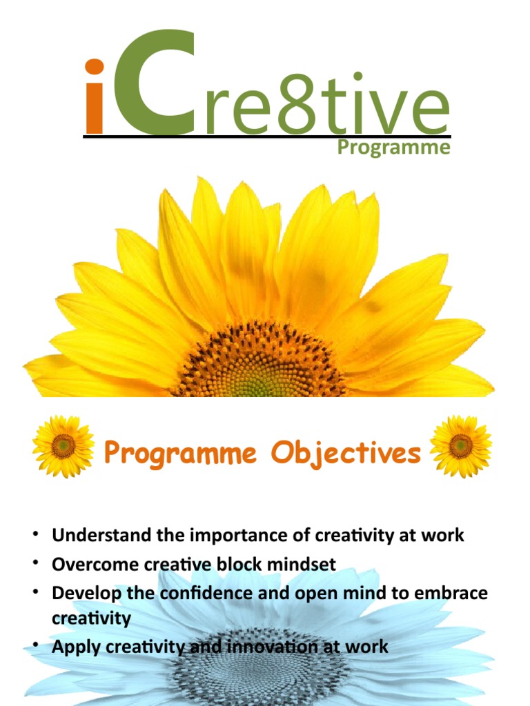 Boost Workplace Creativity Program | PDF | Cognitive Science | Epistemology
