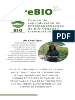 Centro reproducción entomopatógenos BIO Uruguay