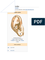 Pabellón Auricular