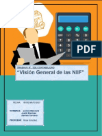 Vision General de Las NIIF