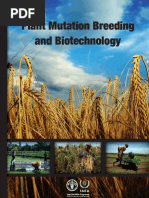 Fiber Plants | PDF | Biofuel | Dietary Fiber