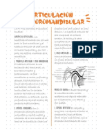 Articulacion temporomandibular