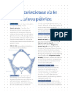 Articulaciones de La Cintura Pelvica.docx