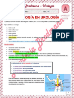 Urologia Teo1 Semiología en Urología