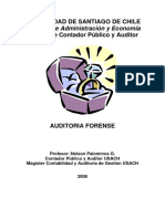 Apuntes Auditoria Forense 07-2008