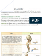 Palancas asociadas al movimiento