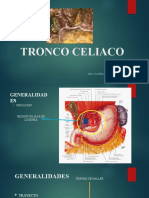 Tronco Celiaco