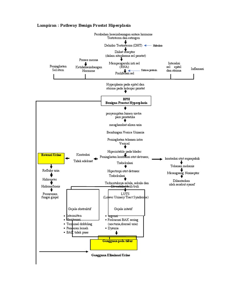 Pathway Benign Prostat Hiperplasia | PDF