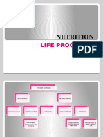 Life Process - Nutrition