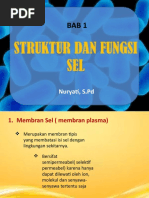PPT Struktur dan Fungsi Sel ll (1)