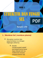 PPT Struktur dan Fungsi Sel ll (1)