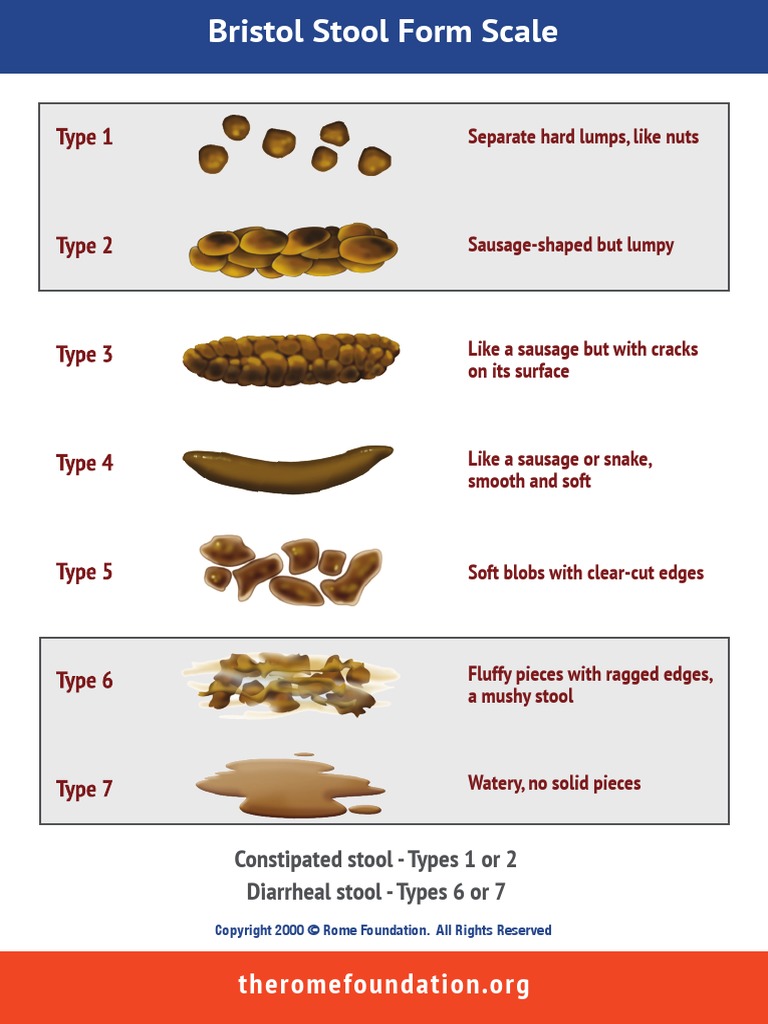 Bristol Stool Form Scale Card 2021 PDF Irritable Bowel Syndrome