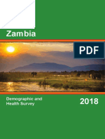 Zambia Demographic and Health Survey - 2018