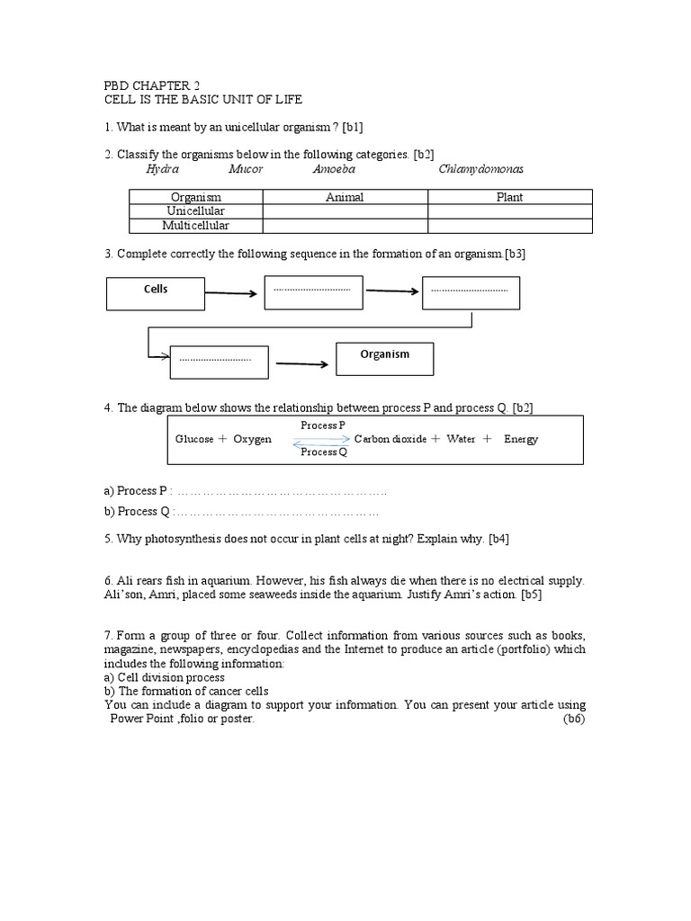 Understanding Unicellular Organisms | PDF | Wellness | Technology ...