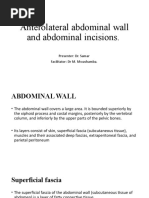 Anatomy of the Anterior Abdominal Wall | PDF | Abdomen | Vein