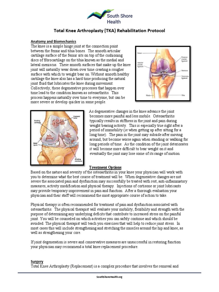 Total Knee Arthroplasty (TKA) Rehabilitation Protocol PDF Surgery