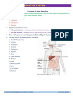 Note 01 - Bio-Digestive System - I