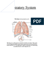 Respiratory System: The Lungs (WWW - Google.co - Uk)