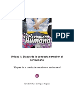 Sexualidad Humana Etapas