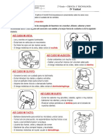 Ciencia Ficha - Cuidado de Los Sentidos