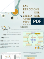 Reacciones Del Ácido Cítrico Parte 1