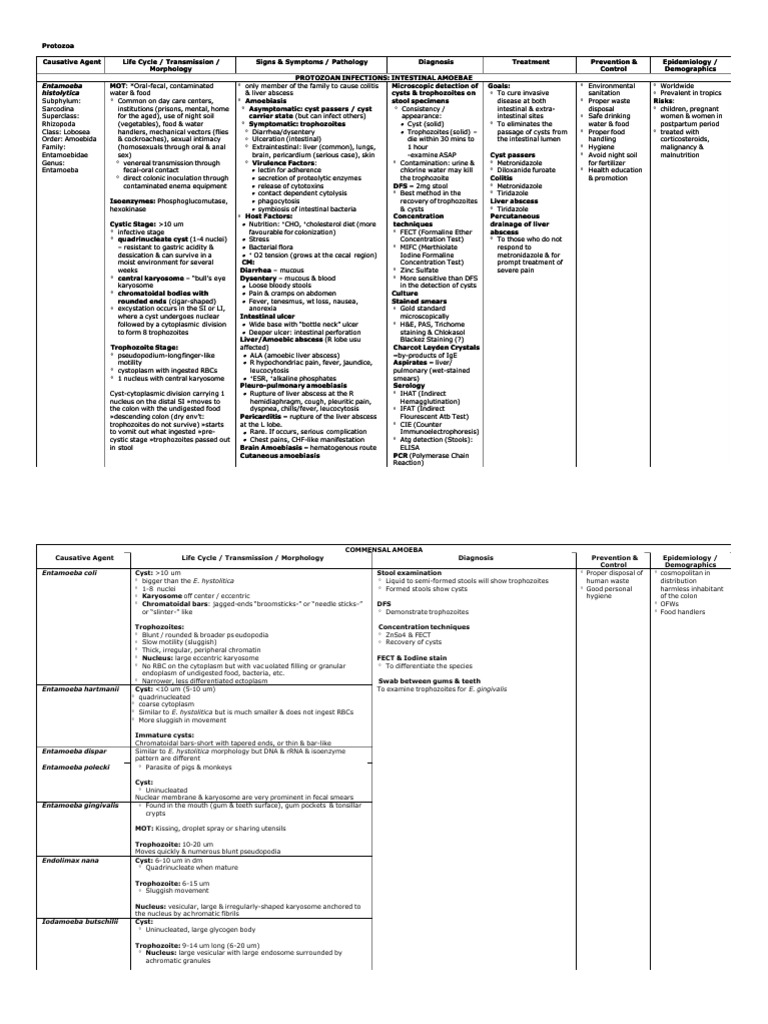 Parasitology Table Protozoa | PDF | Medical Specialties | Biology