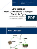 Life Science Plant Growth and Changes