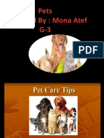 Pets Presented By: Mona Atef G-3