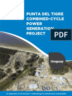 Punta Del Tigre Combined Cycle Power Generation Project Uruguay