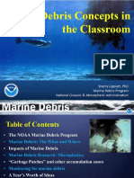 Marine Debris Concepts in The Classroom