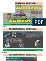 Contaminacion Ambiental