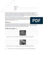 Clinical Significance: Urinalysis Diabetic Kidney Disease Glomerulonephritis Iga Nephropathy