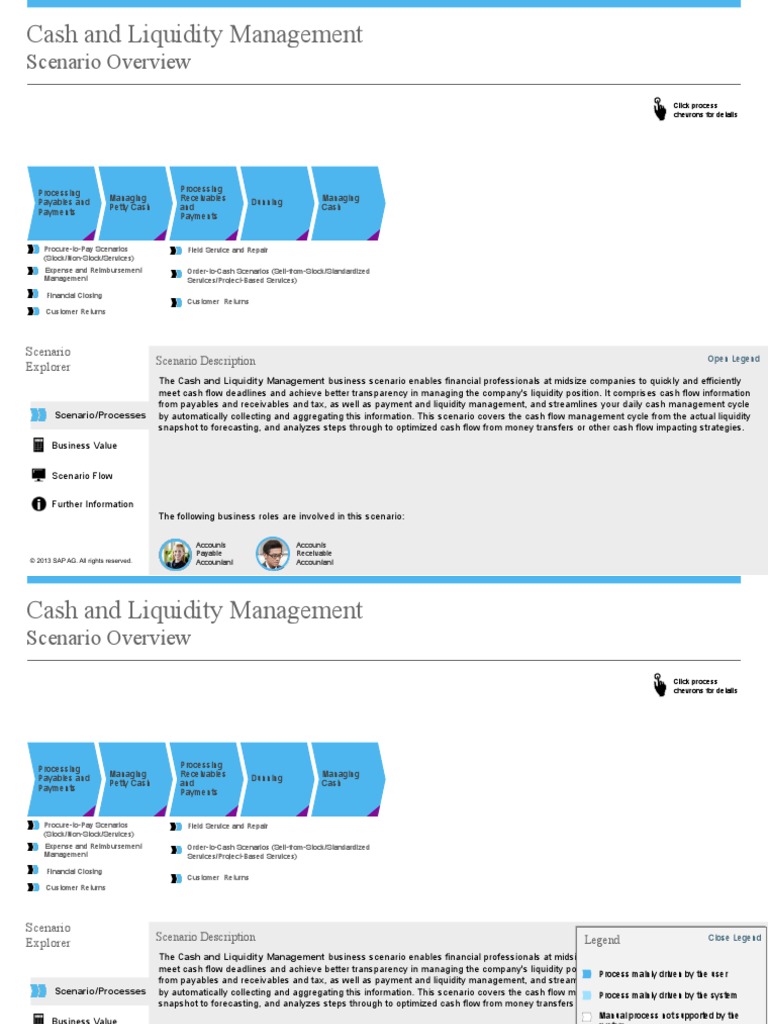 Cash and Liquidity Management: Scenario Overview | PDF | Accounts ...