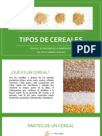 Tipos de Cereales