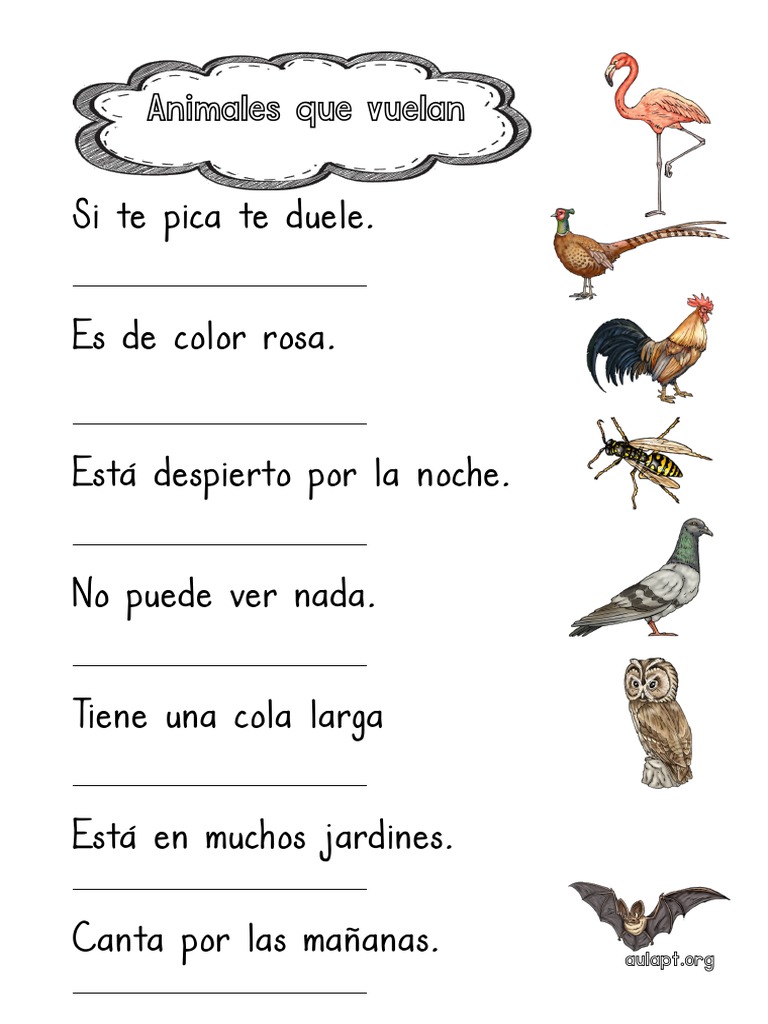 Animales Que Vuelan Comprensión Lectora Frases | PDF | Ciencia y ...