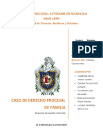 SEGUNDO CASO DE DERECHO PROCESAL DE FAMILIA trabajo