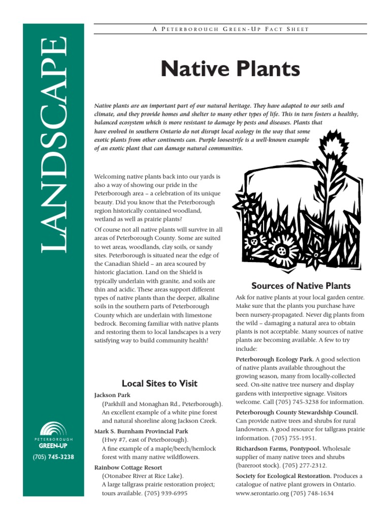 Native Plants of Peterborough Region | PDF | Trees | Vitis