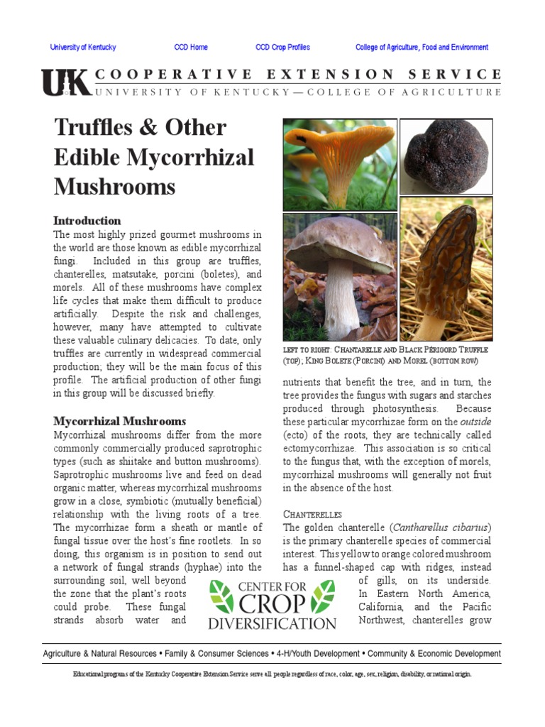Cultivation of Edible Mycorrhizal Mushrooms Challenges and
