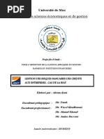 Exemple de Pfe Sur BIAT