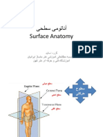 آناتومی سطحی