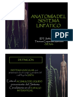 Anatomía Del Sistema Linfático