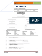 Ciencia Y Ambiente: La Célula