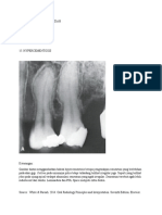 Dental Radiography 1