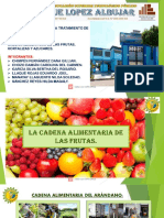 Cadena Alimentaria de Frutas-hortalizas-Azucares
