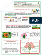 Naturales y Español